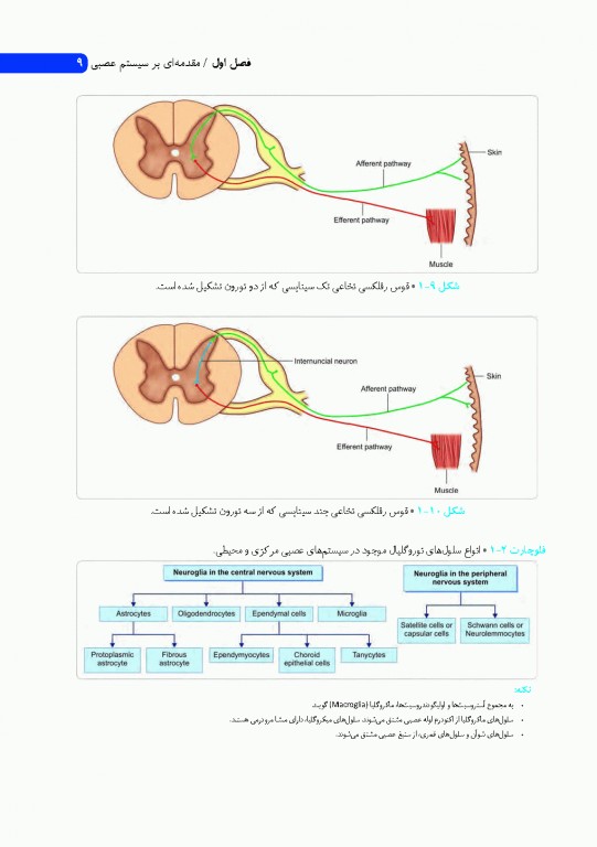 نوروآناتومی انسانی پایه و بالینی ایندر بیرسینگ 2018