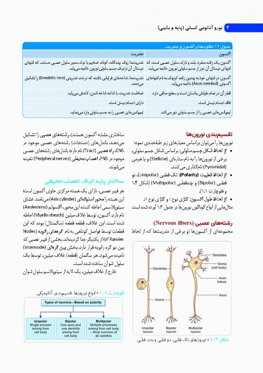 نوروآناتومی انسانی پایه و بالینی ایندر بیرسینگ 2018