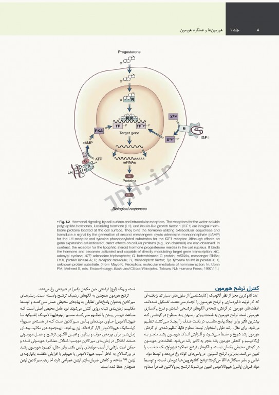 درسنامه اندوکرینولوژی ویلیامز 2020 جلد1 هورمون‌ها و عملکرد هورمون