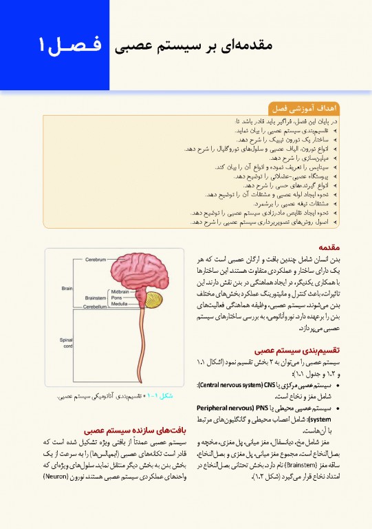 نوروآناتومی انسانی پایه و بالینی ایندر بیرسینگ 2018