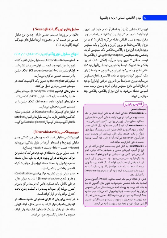 نوروآناتومی انسانی پایه و بالینی ایندر بیرسینگ 2018