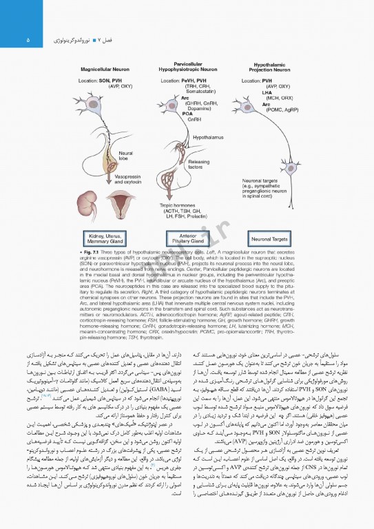درسنامه اندوکرینولوژی ویلیامز 2020 جلد2 هیپوتلاموس و هیپوفیز