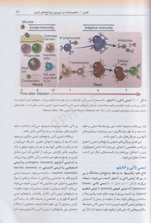 ایمونولوژی سلولی و مولکولی ابوالعباس 2022 دکتر میراحمدیان