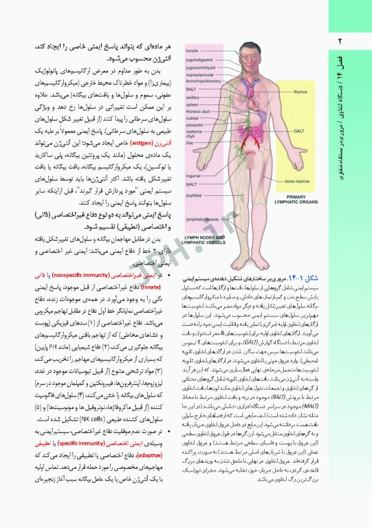 بافت شناسی راس 2016 جلد دوم بافت شناسی اختصاصی