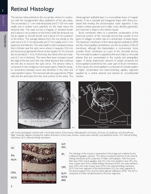 اطلس شبکیه چشم ویراست دوم | The Retinal Atlas