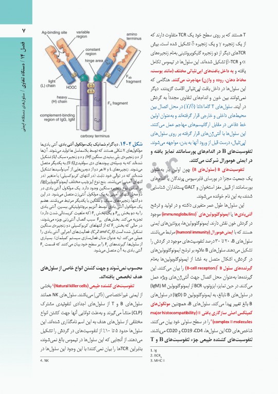 بافت شناسی راس 2016 جلد دوم بافت شناسی اختصاصی