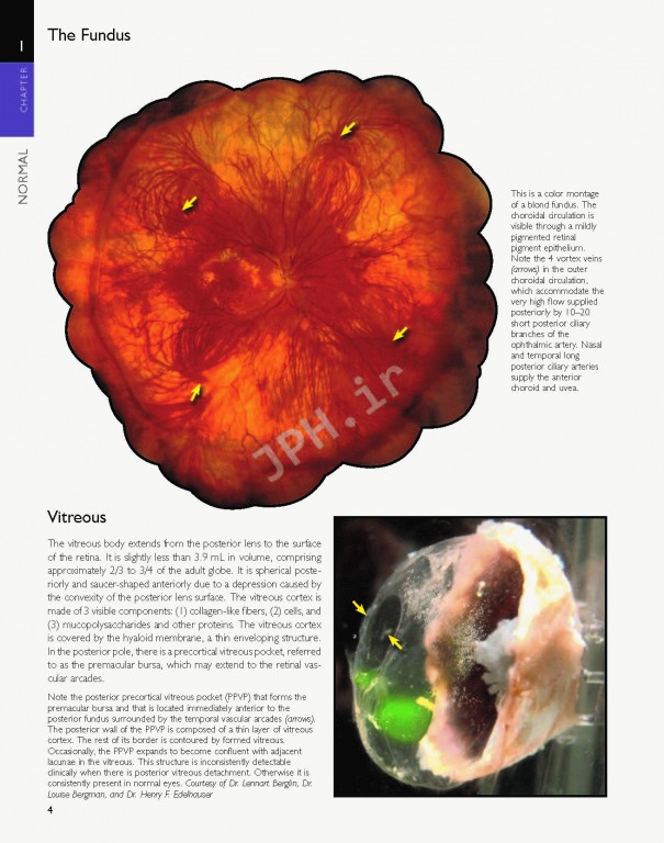 اطلس شبکیه چشم ویراست دوم | The Retinal Atlas
