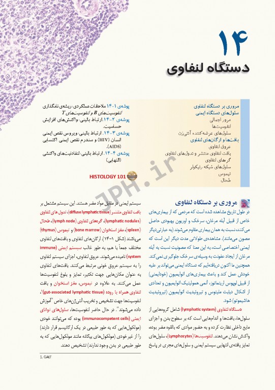 بافت شناسی راس 2016 جلد دوم بافت شناسی اختصاصی