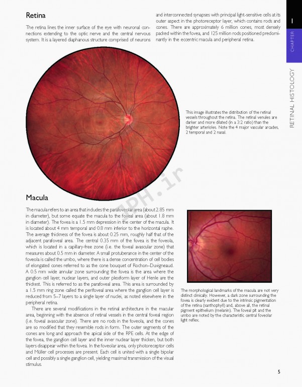 اطلس شبکیه چشم ویراست دوم | The Retinal Atlas