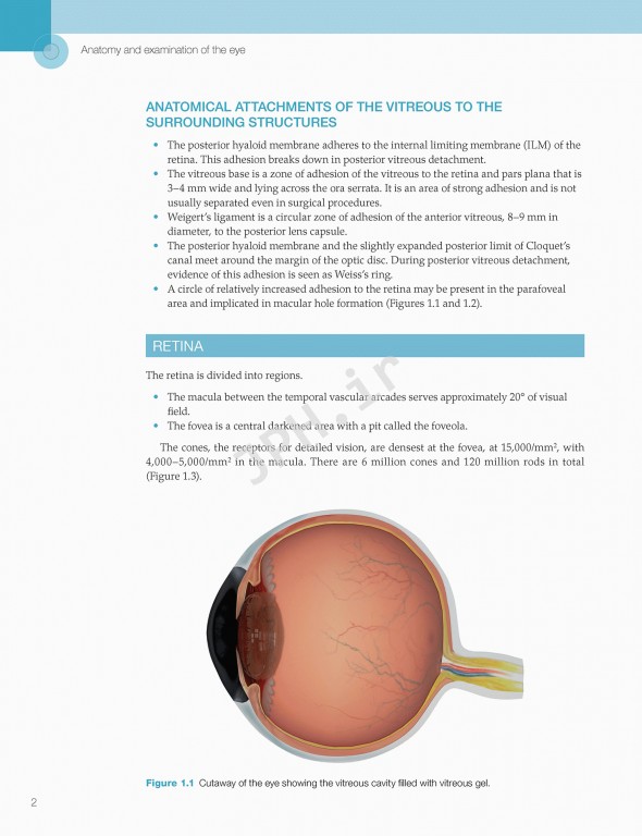 اختلالات زجاجیه شبکیه در مراقبت‌های اولیه | Vitreoretinal Disorders in Primary Care