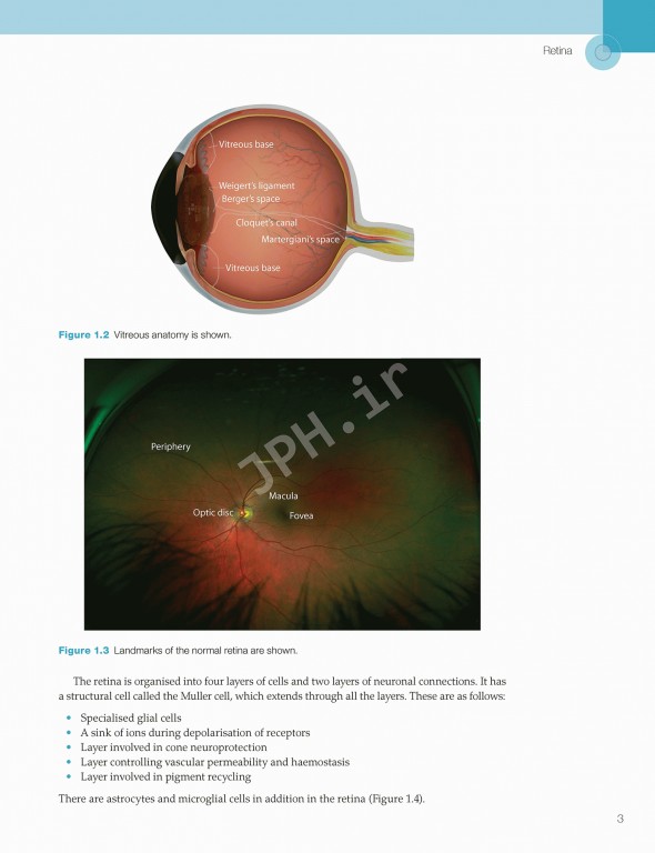 اختلالات زجاجیه شبکیه در مراقبت‌های اولیه | Vitreoretinal Disorders in Primary Care