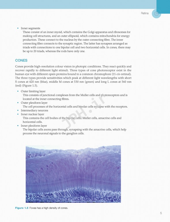 اختلالات زجاجیه شبکیه در مراقبت‌های اولیه | Vitreoretinal Disorders in Primary Care