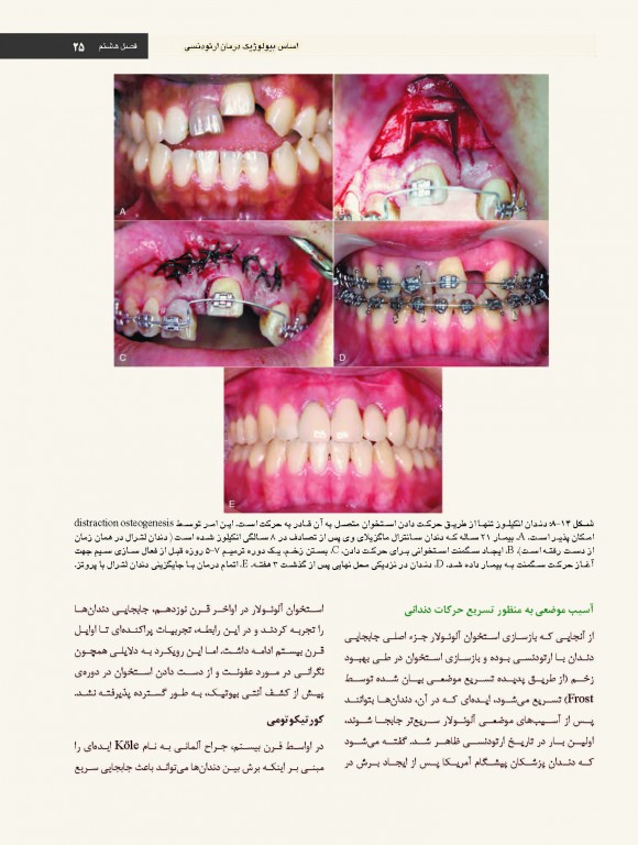 ارتودنسی معاصر پروفیت 2019 جلد2 تک رنگ شایان نمودار