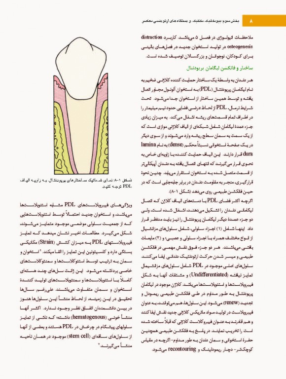 ارتودنسی معاصر پروفیت 2019 جلد2 تک رنگ شایان نمودار