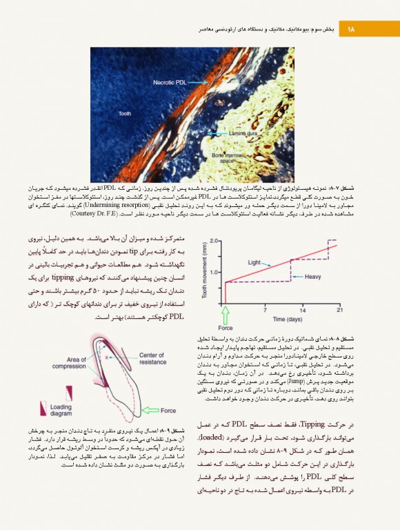 ارتودنسی معاصر پروفیت 2019 جلد2 تک رنگ شایان نمودار
