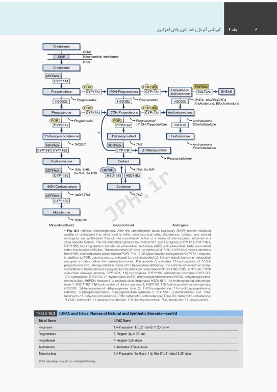 درسنامه اندوکرینولوژی ویلیامز 2020 جلد4 کورتکس آدرنال و فشارخون بالای اندوکرین