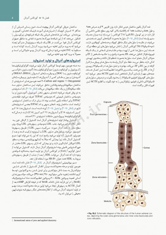 درسنامه اندوکرینولوژی ویلیامز 2020 جلد4 کورتکس آدرنال و فشارخون بالای اندوکرین