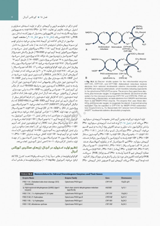 درسنامه اندوکرینولوژی ویلیامز 2020 جلد4 کورتکس آدرنال و فشارخون بالای اندوکرین