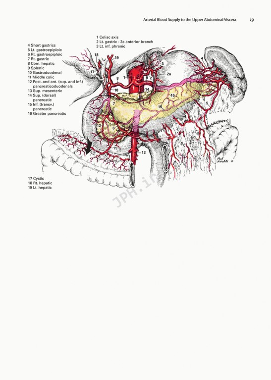 اطلس جراحی زولینجر ویراست یازدهم | Zollinger's Atlas of Surgical Operations 2021