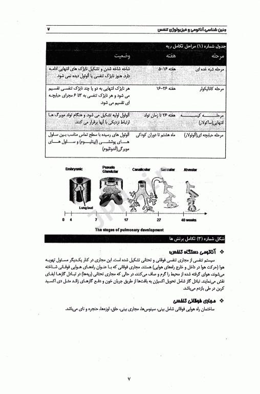 اصول تهویه مکانیکی در بخش مراقبت‌های ویژه فاطمه منجذبی