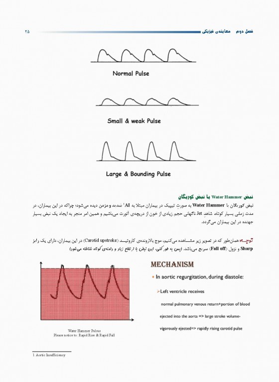 افورتلس مدیسین Effortless medicine بیماری‌های قلب ویرایش 98