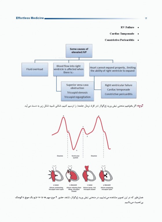 افورتلس مدیسین Effortless medicine بیماری‌های قلب ویرایش 98