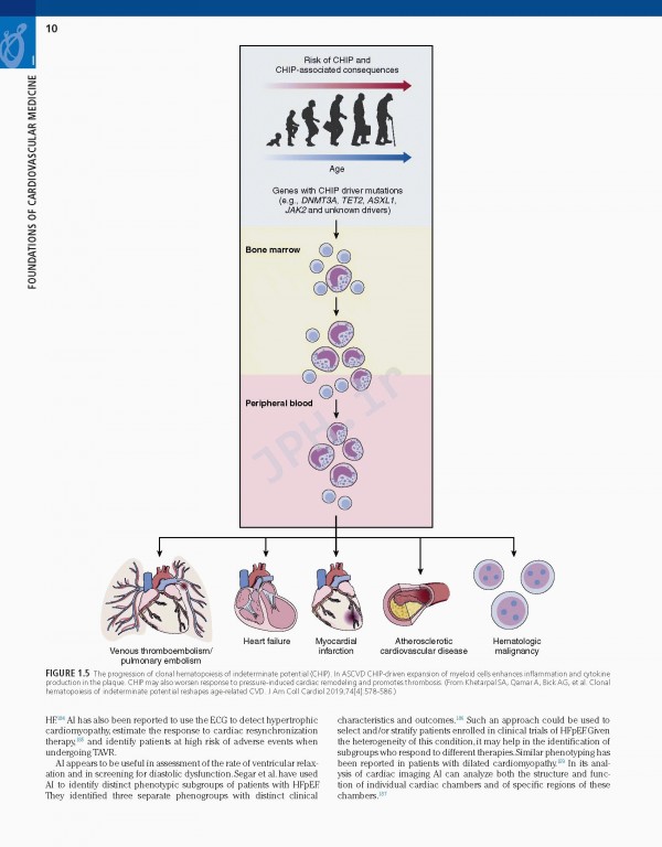 بیماری‌های قلبی برانوالد 2022 | Braunwald’s Heart Disease