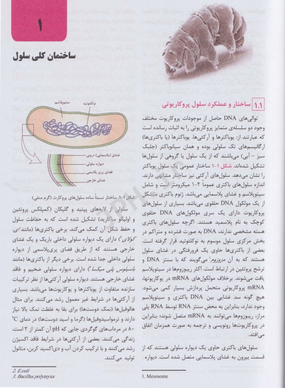 خلاصه زیست‌شناسی سلولی و مولکولی لودیش 2021 دکتر ابرقوئی