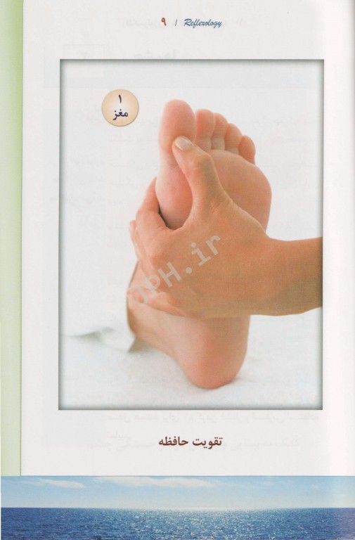 رفلکسولوژی (بازتاب درمانی) سیدعلی حسینی‌تهرانی