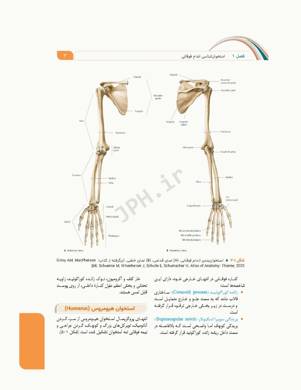 علوم تشریح برای دانشجویان پزشکی جلد 2 دستگاه اسکلتی عضلانی