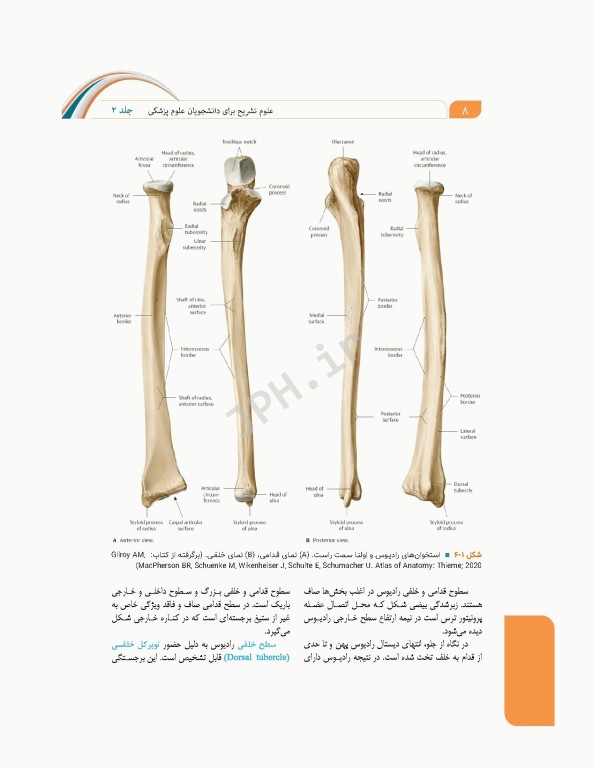 علوم تشریح برای دانشجویان پزشکی جلد 2 دستگاه اسکلتی عضلانی