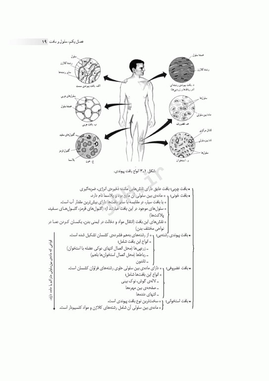 مرور جامع DRS زیست‌شناسی عمومی