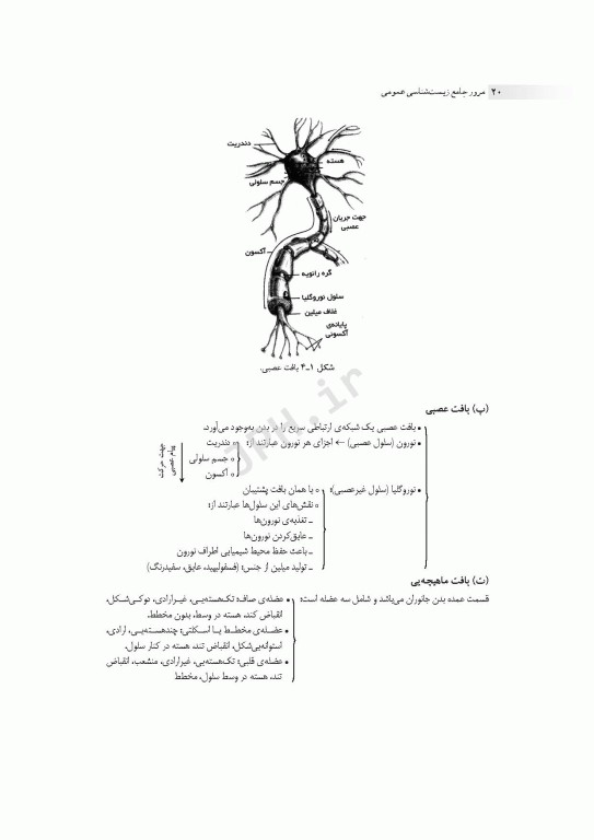 مرور جامع DRS زیست‌شناسی عمومی