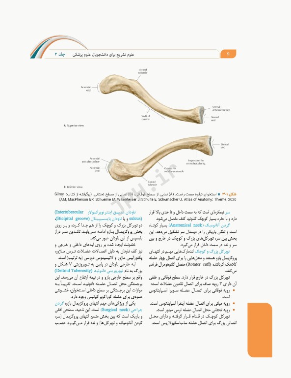 علوم تشریح برای دانشجویان پزشکی جلد 2 دستگاه اسکلتی عضلانی