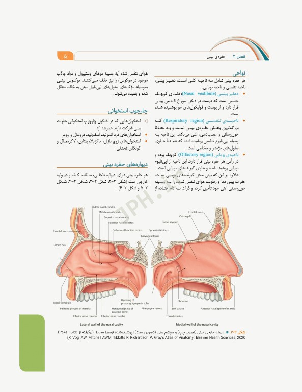 علوم تشریح برای دانشجویان پزشکی جلد5 دستگاه تنفس