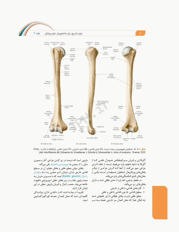علوم تشریح برای دانشجویان پزشکی جلد 2 دستگاه اسکلتی عضلانی