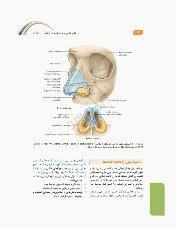 علوم تشریح برای دانشجویان پزشکی جلد5 دستگاه تنفس