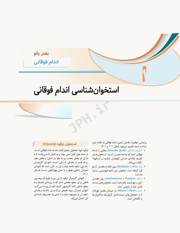 علوم تشریح برای دانشجویان پزشکی جلد 2 دستگاه اسکلتی عضلانی