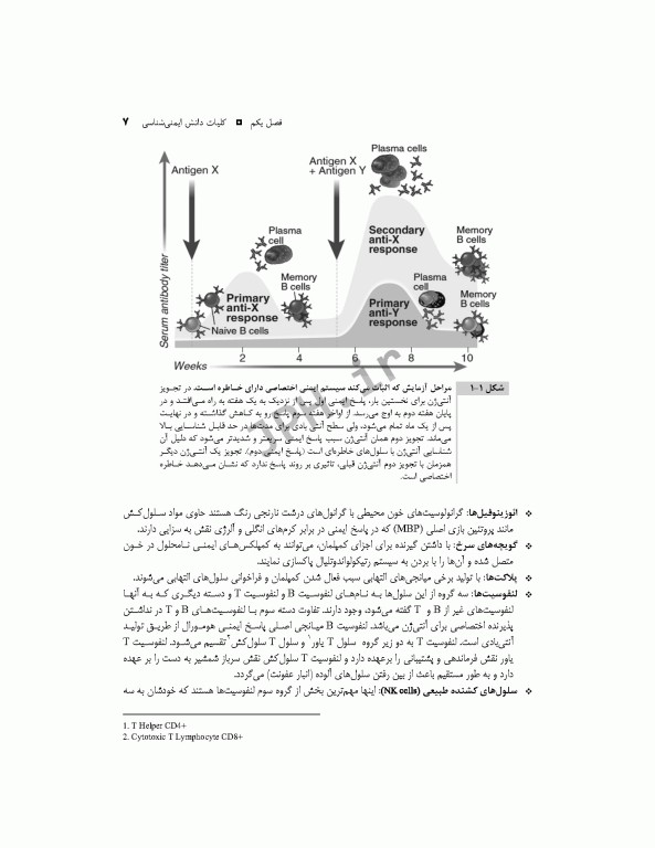 درسنامه ایمونولوژی به زبان خودمانی