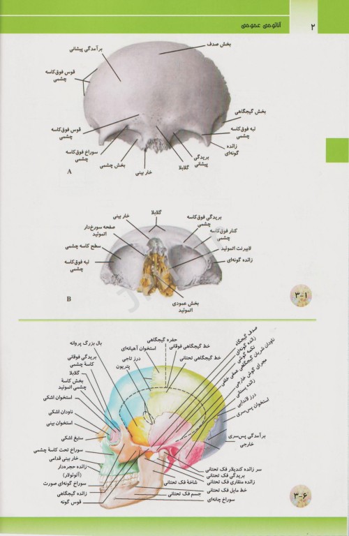 آناتومی عمومی برای دانشجویان پرستاری، مامایی و پیراپزشکی شبانی زاده و تقوی
