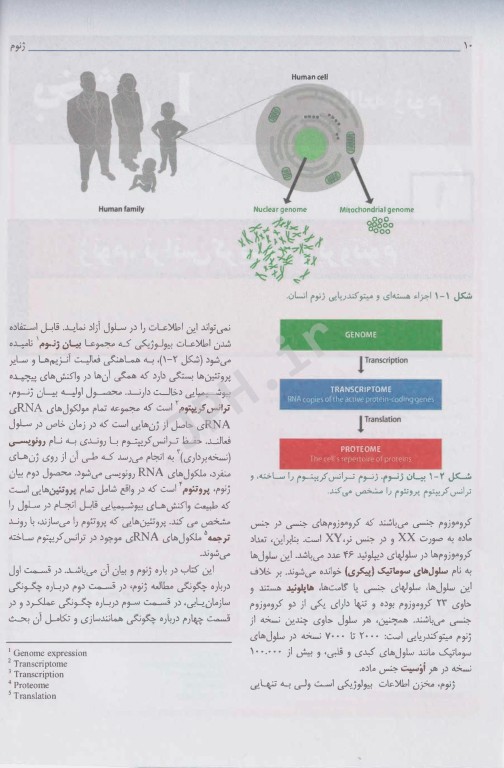 ترجمه کامل و جامع ژنوم 4