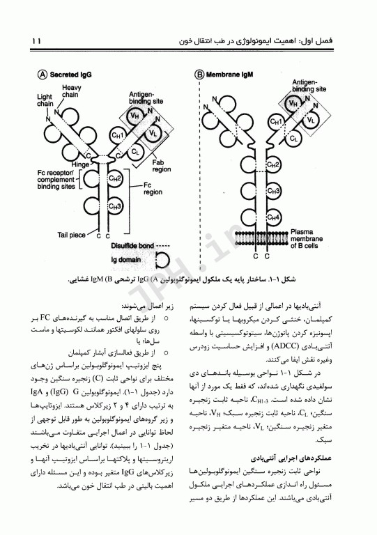 طب انتقال خون دکتر سعید آبرون