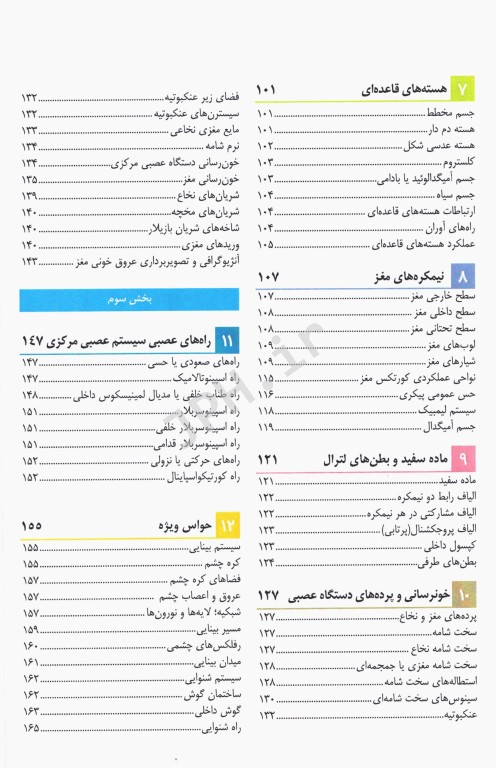 آناتومی دستگاه عصبی مرکزی