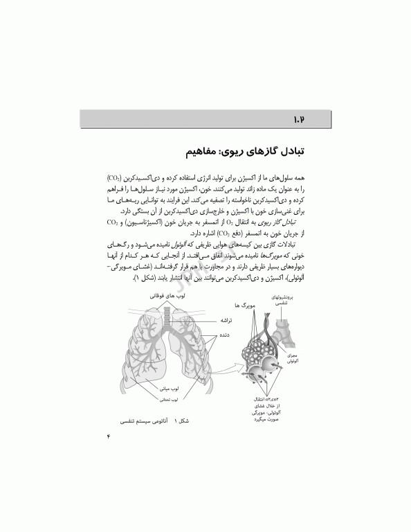 یادگیری آسان گازهای خون شریانی ABG 2016