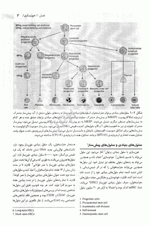 ضروریات هماتولوژی هافبراند 2020 حیدری