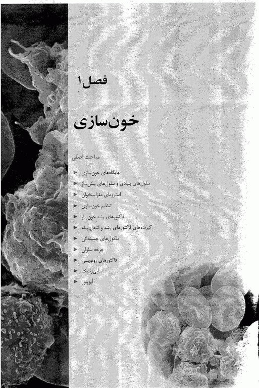 ضروریات هماتولوژی هافبراند 2020 حیدری