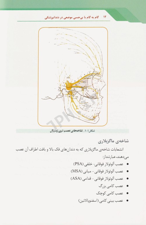 گام به گام با بی‌حسی موضعی در دندانپزشکی چاپ دوم