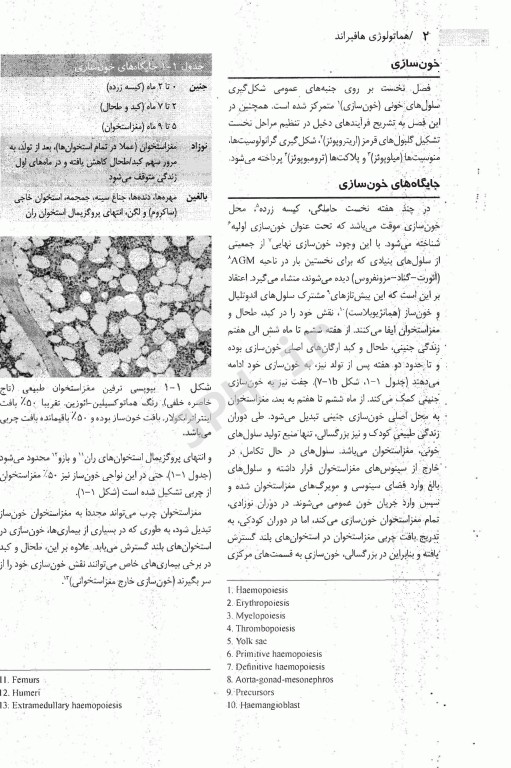 ضروریات هماتولوژی هافبراند 2020 حیدری