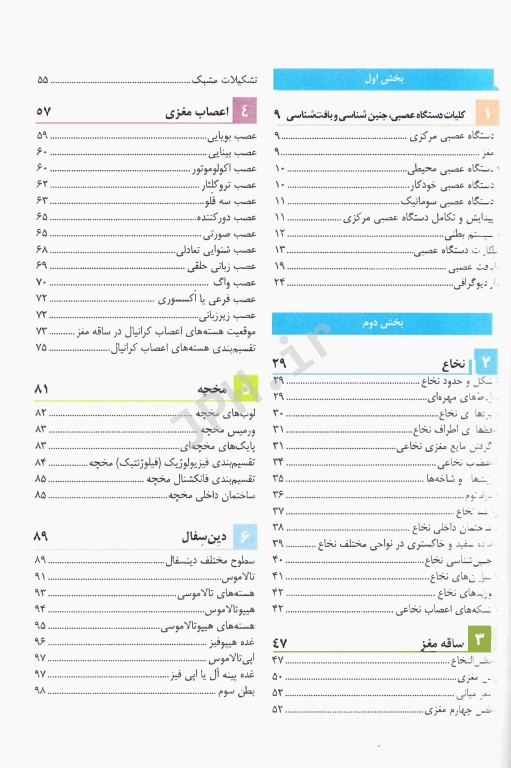 آناتومی دستگاه عصبی مرکزی