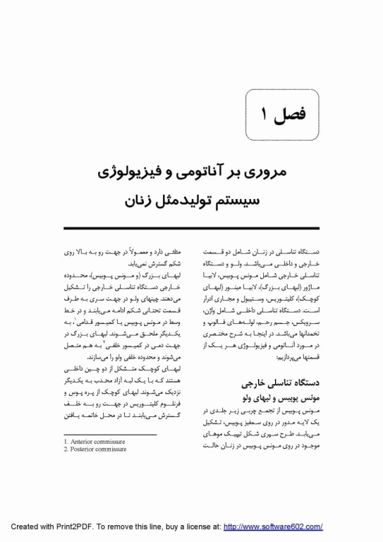 بیماری‌های زنان و ناباروری دکتر سیما نظرپور